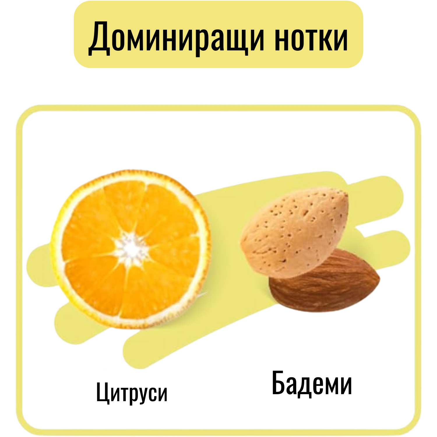 Графиката изобразява портокал и бадеми, надписани на български като "цитрусови" и "бадеми". Заглавието гласи "Доминиращи Ноти." Открийте освежаващия вкус на капсулите за кафе Musetti® Gentile 100% Арабика, капсулиращи жизнената есенция на цитрусови плодове и наситените тонове на бадеми. Графиката изобразява портокал и бадеми, надписани на български като "цитрусови" и "бадеми". Заглавието гласи "Доминиращи Ноти." Открийте освежаващия вкус на капсулите за кафе Musetti® Gentile 100% Арабика, капсулиращи жизнената есенция на цитрусови плодове и наситените тонове на бадеми.